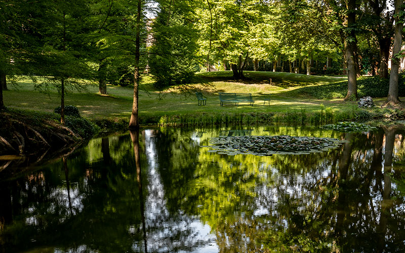 Parco di Villa Malaspina, il laghetto con ninfee.