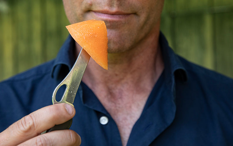 Il Conte Guarienti assaggia il melone per test qualità