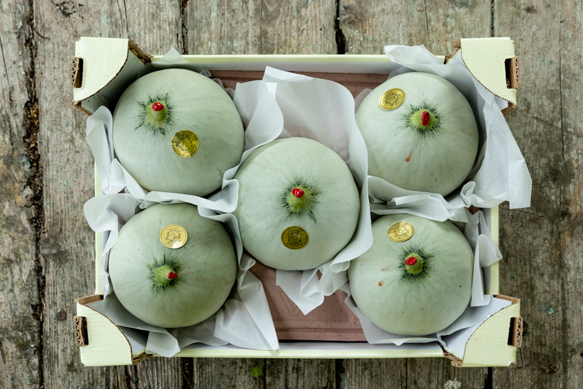 I frutti del Conte Guarienti. Il melone liscio I frutti del Conte Guarienti. Il melone liscio-cassetta di meloni