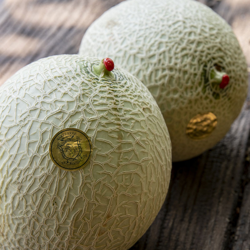 The fruits of Count Guarienti: melons.