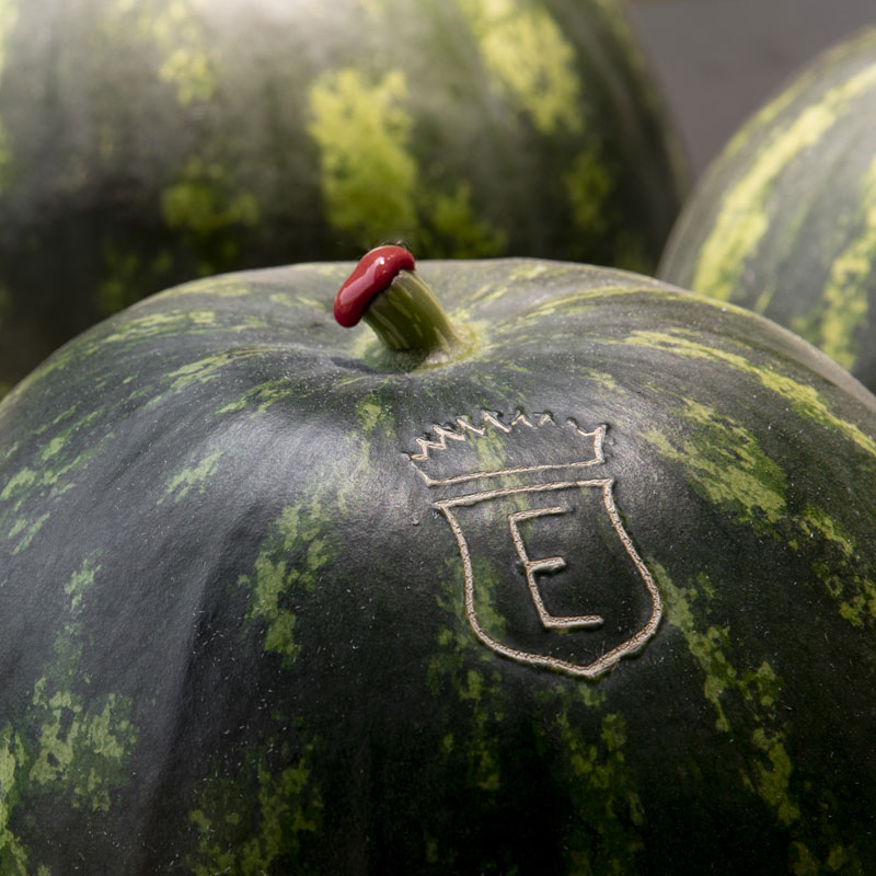 The fruits of Count Guarienti: watermelons.